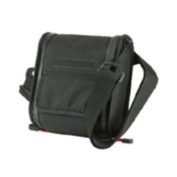 Carring case
